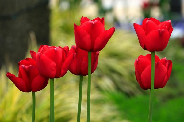 Transformez Votre Maison : Le Guide Ultime de la Rénovation d'une Habitation Individuelle